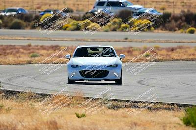 media/Nov-16-2024-Extreme Speed (Sat) [[6587d07cc4]]/Gold Group/Session 2 (Turns 3 and 5)/